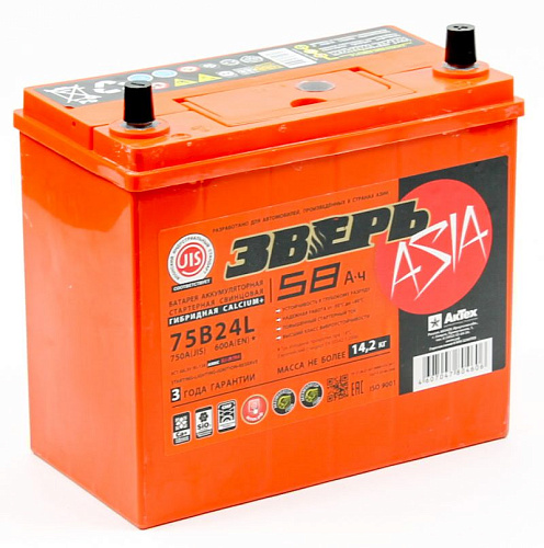 /Аккумулятор Зверь ASIA EFB 58 а/ч Обратная R+ EN 600A 238x129x225 75B24L